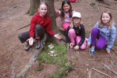 IMG_6355