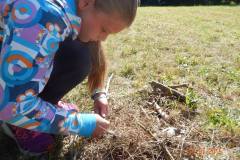 12002537_10153603539661678_770260280219395828_o