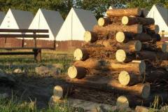 12043221_10153596272546678_1699379314545445500_n