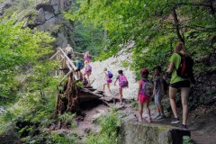 IMG_20170810_120417