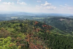IMG_3467