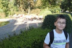 IMG_5247