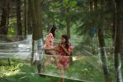 DSCF5356