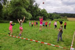 IMG_20190710_103605-2