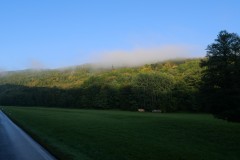 P1017297