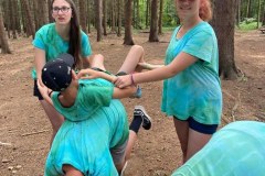 3b5921ce-6e6c-43fa-a51f-de70d06e6921