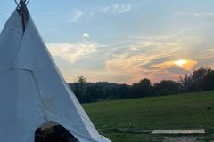 45320444-7539-4dd8-b508-abfb2e61eef4