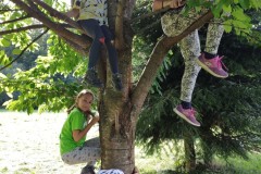 IMG_20200905_161222