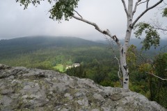 P1031563