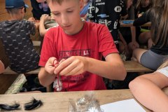 PXL_20250704_094115157.MP_