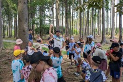 PXL_20250706_141130976.MP_