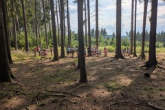 PXL_20250706_142234759