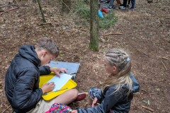 PXL_20250709_143338330