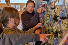 PXL_20250709_165727632