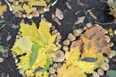 PXL_20251025_132144000