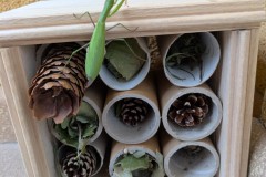 PXL_20251012_073951744