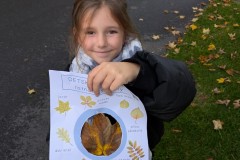 PXL_20251017_152921921