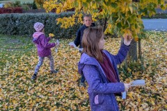 PXL_20251017_153526750.MP_