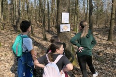 491100395_1094077289420426_6364101626567624533_n