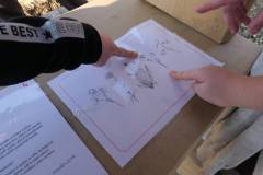 491816264_1094077329420422_4267822491341358155_n