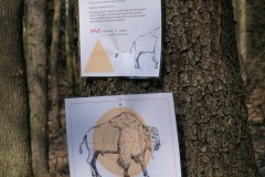 491835159_1094079152753573_35405070923193753_n